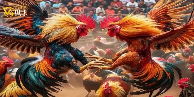 Người chơi có thể dễ dàng đánh giá thể lực chiến kê chỉ bằng việc quan sát